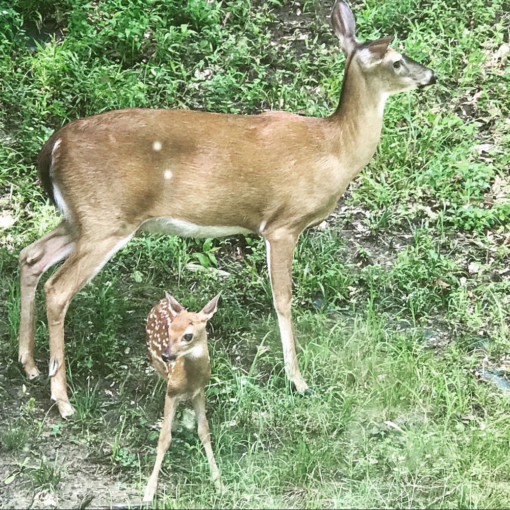 Meet your Posher, Felecia